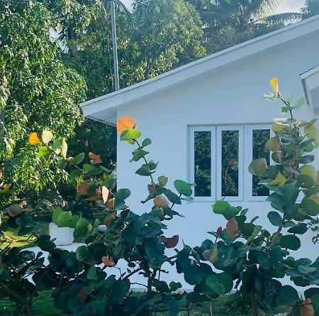 The Cay House Mangrove Cay Exterior photo