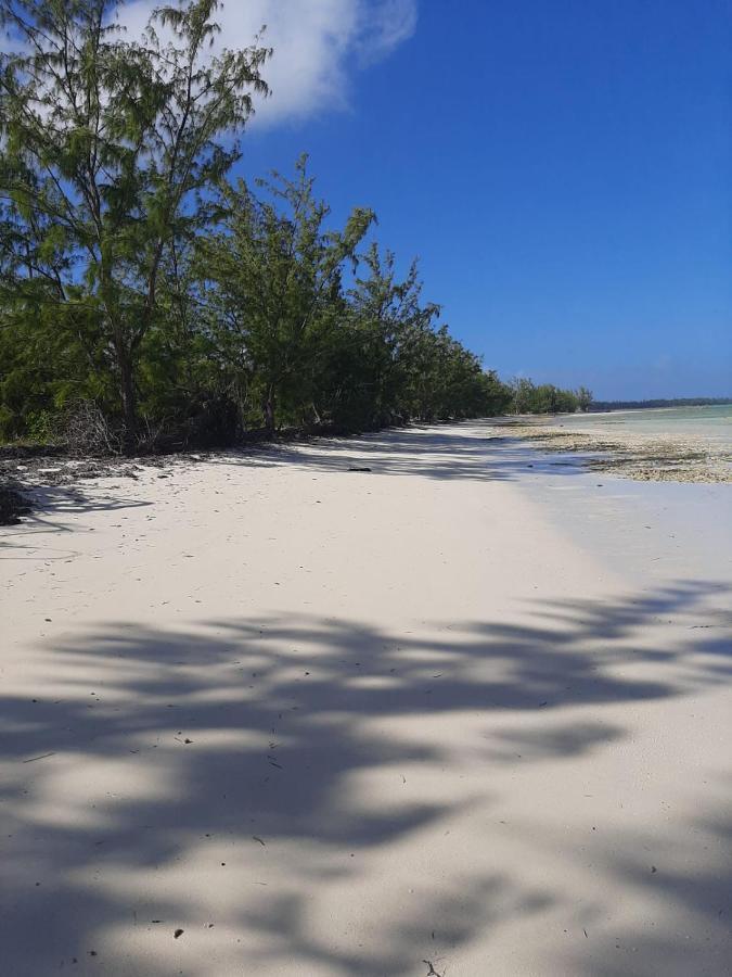 The Cay House Mangrove Cay Exterior photo